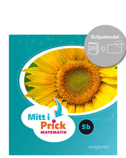 Mitt i prick 5B paket