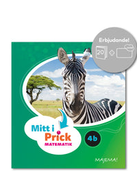 Mitt i prick 4B paket