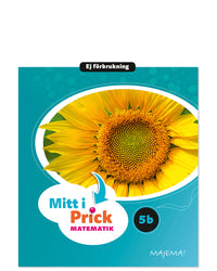 Mitt i prick 5B grundbok ej förbrukning