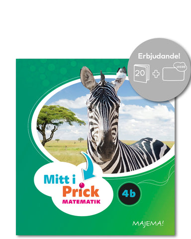 Mitt i prick 4B paket