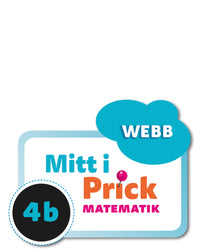 Mitt i prick 4B webb